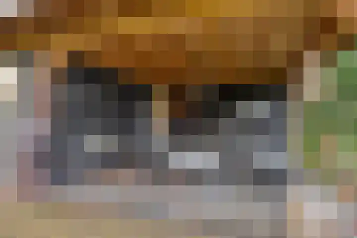 Rozenlaan 1 Boskoop thumbnail 56
