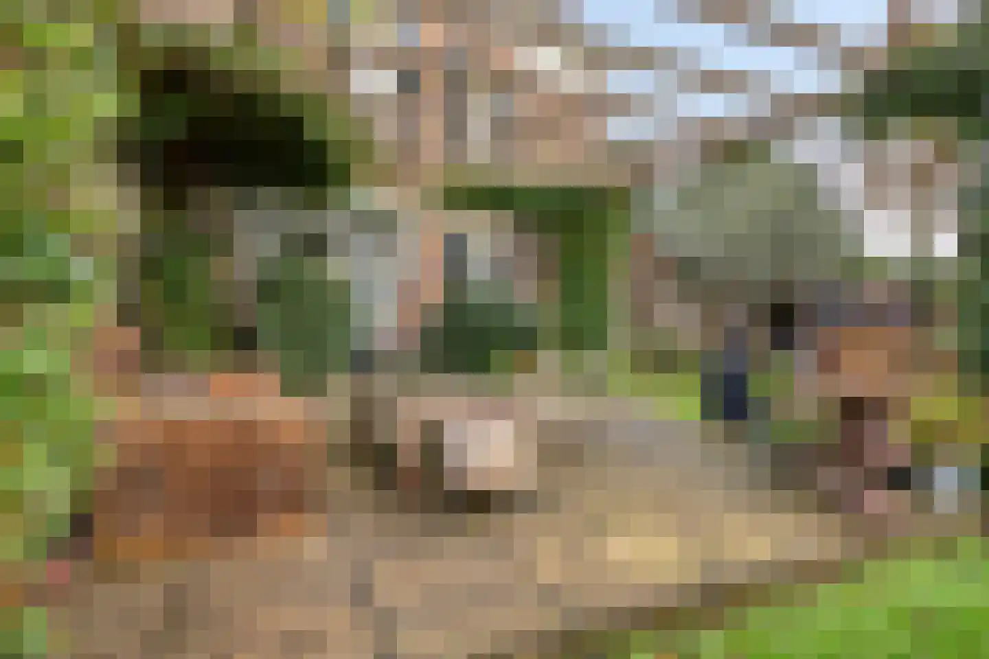 Rozenlaan 1 Boskoop thumbnail 58