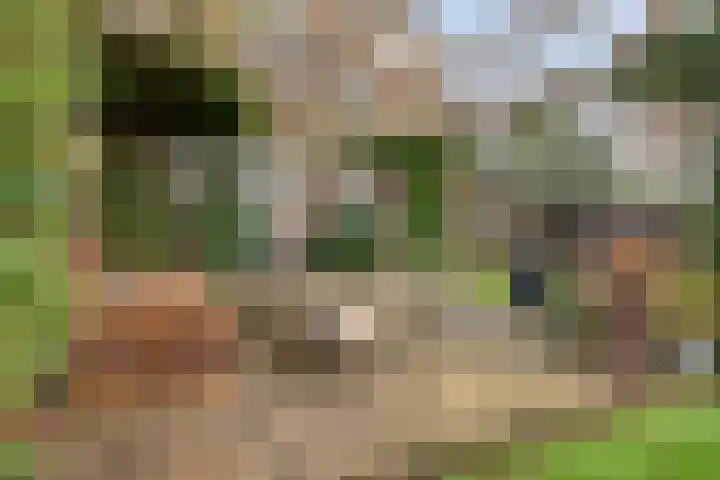 Rozenlaan 1 Boskoop thumbnail 58