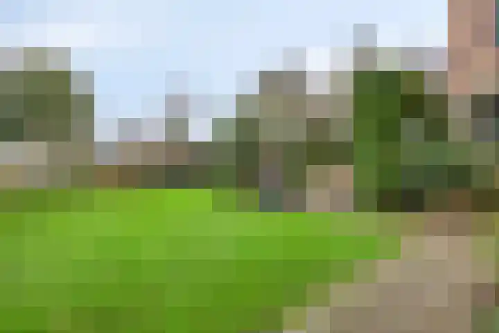 Rozenlaan 1 Boskoop thumbnail 60
