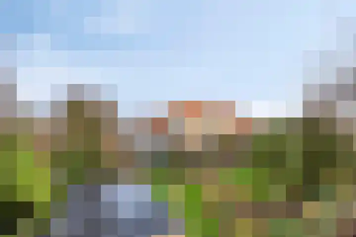 Rozenlaan 1 Boskoop thumbnail 62