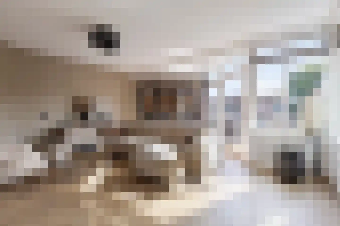 Rozenlaan 1 Nieuw-Buinen thumbnail 12