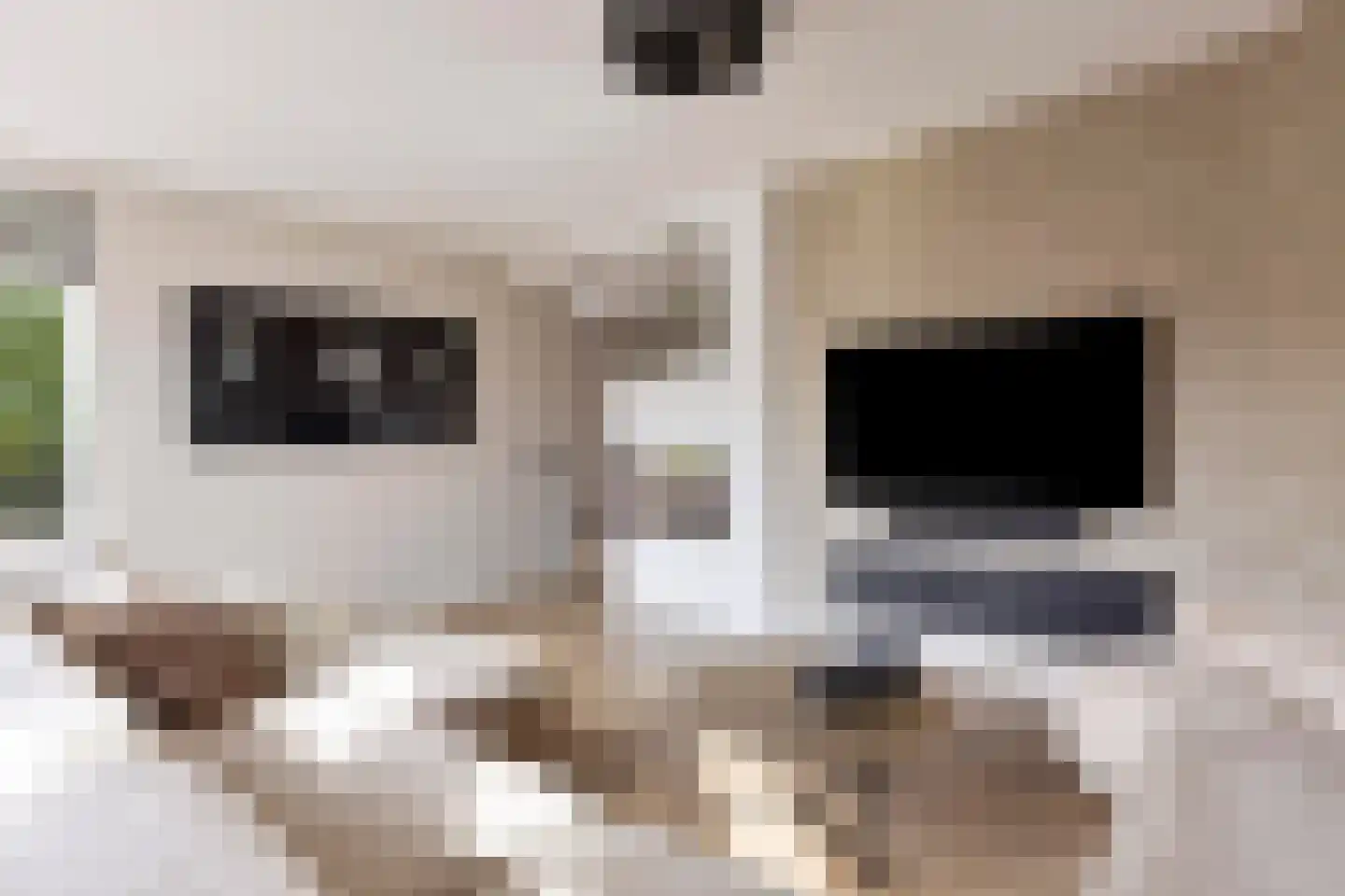 Rozenlaan 1 Nieuw-Buinen thumbnail 15