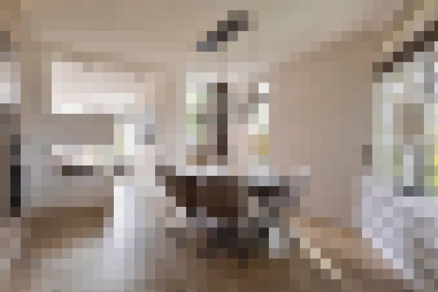 Rozenlaan 1 Nieuw-Buinen thumbnail 18