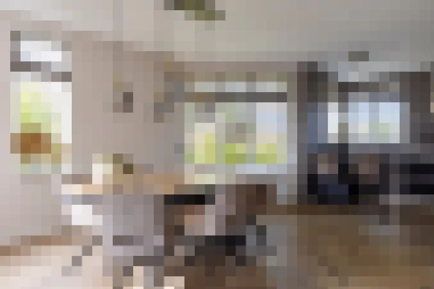 Rozenlaan 1 Nieuw-Buinen thumbnail 19