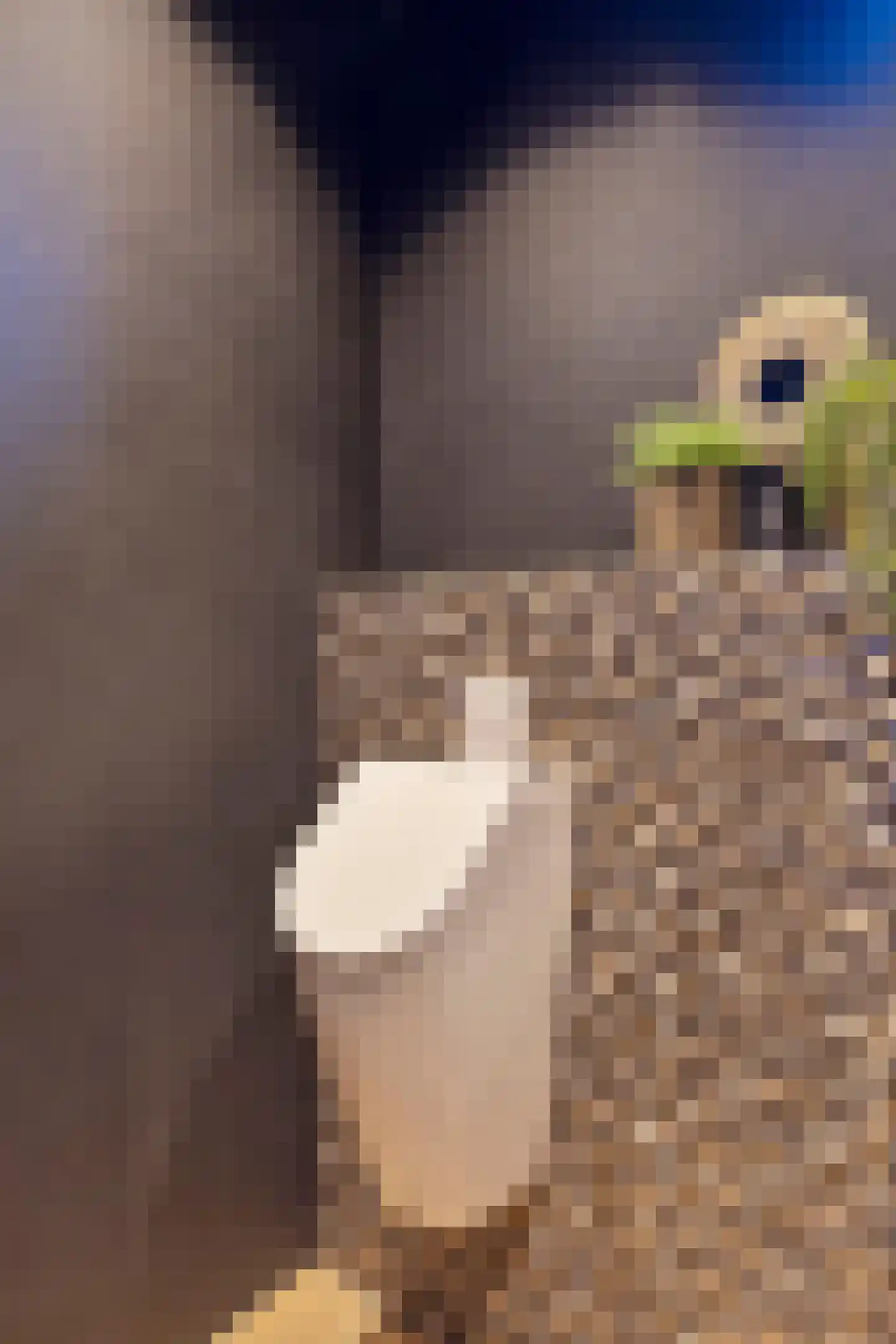 Rozenlaan 1 Nieuw-Buinen thumbnail 25