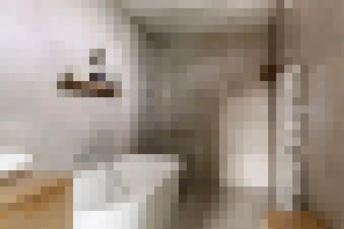 Rozenlaan 1 Nieuw-Buinen thumbnail 4
