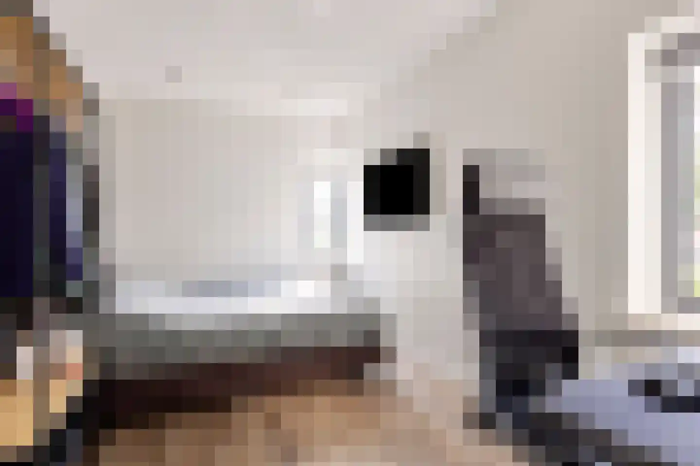 Rozenlaan 1 Nieuw-Buinen thumbnail 42