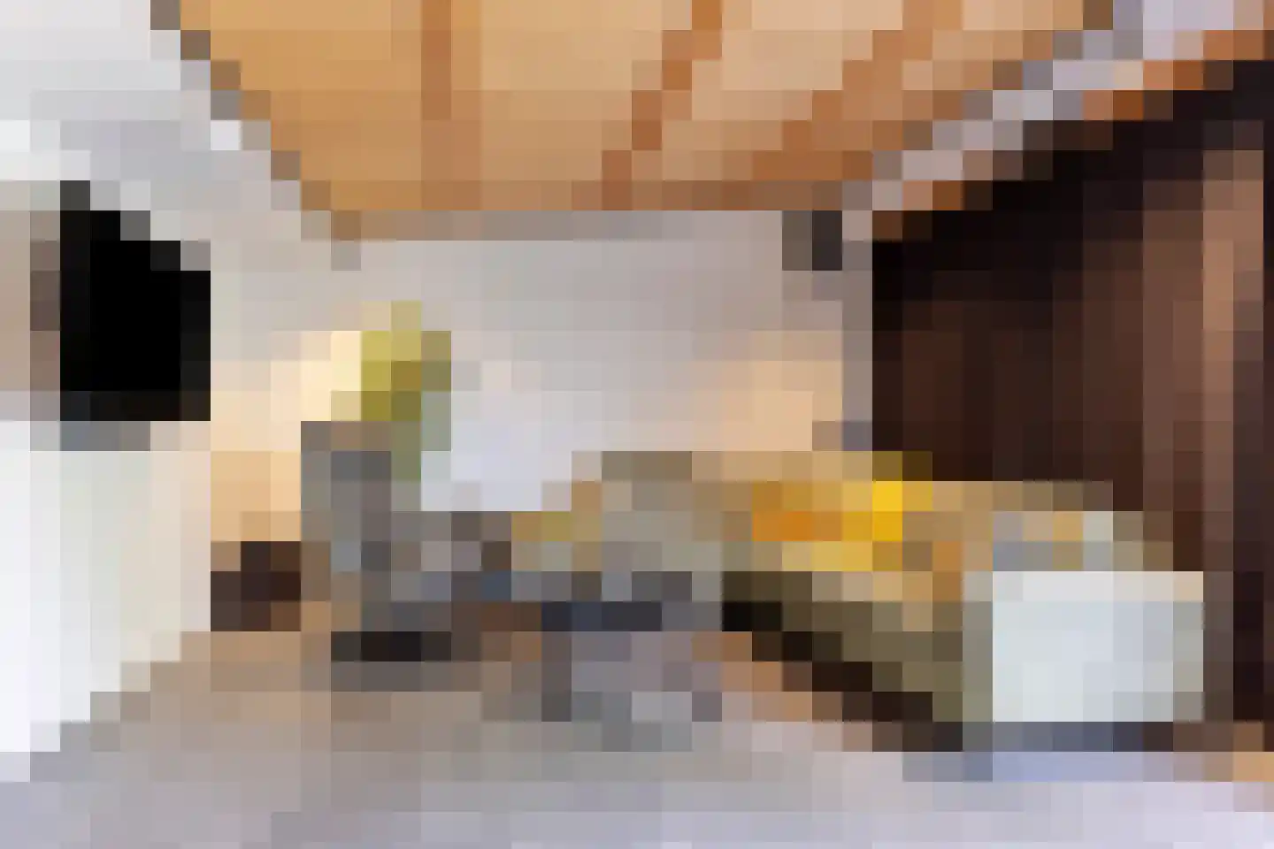 Rozenlaan 1 Nieuw-Buinen thumbnail 49