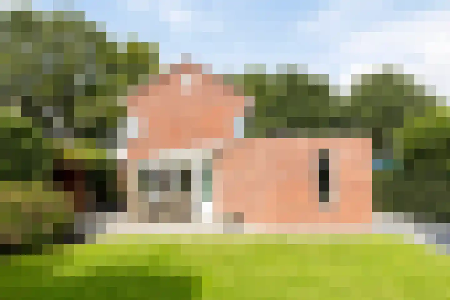 Rozenlaan 1 Nieuw-Buinen thumbnail 5