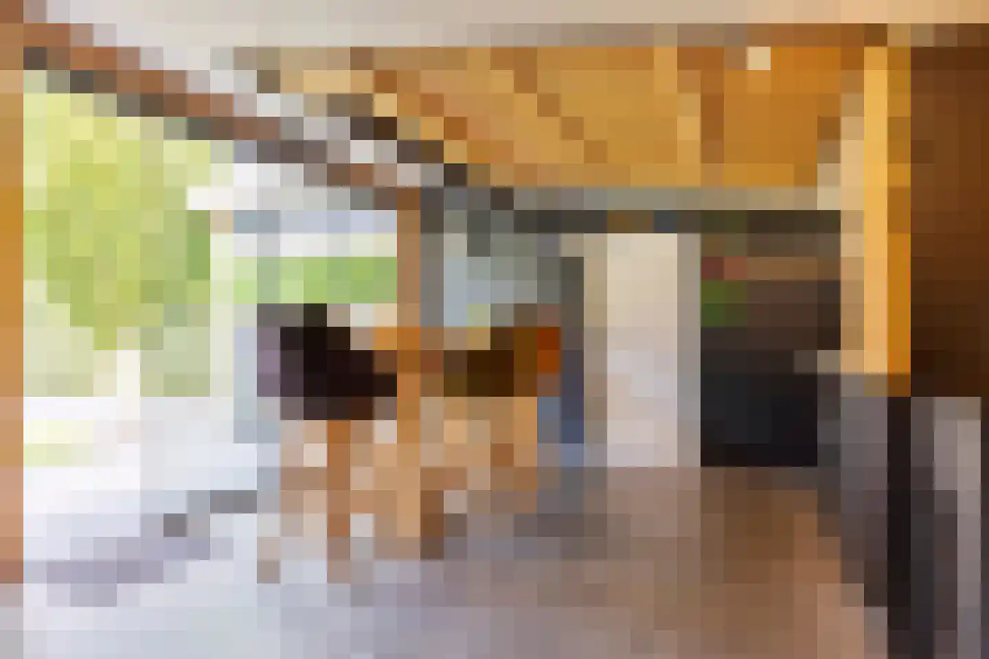 Rozenlaan 1 Nieuw-Buinen thumbnail 50
