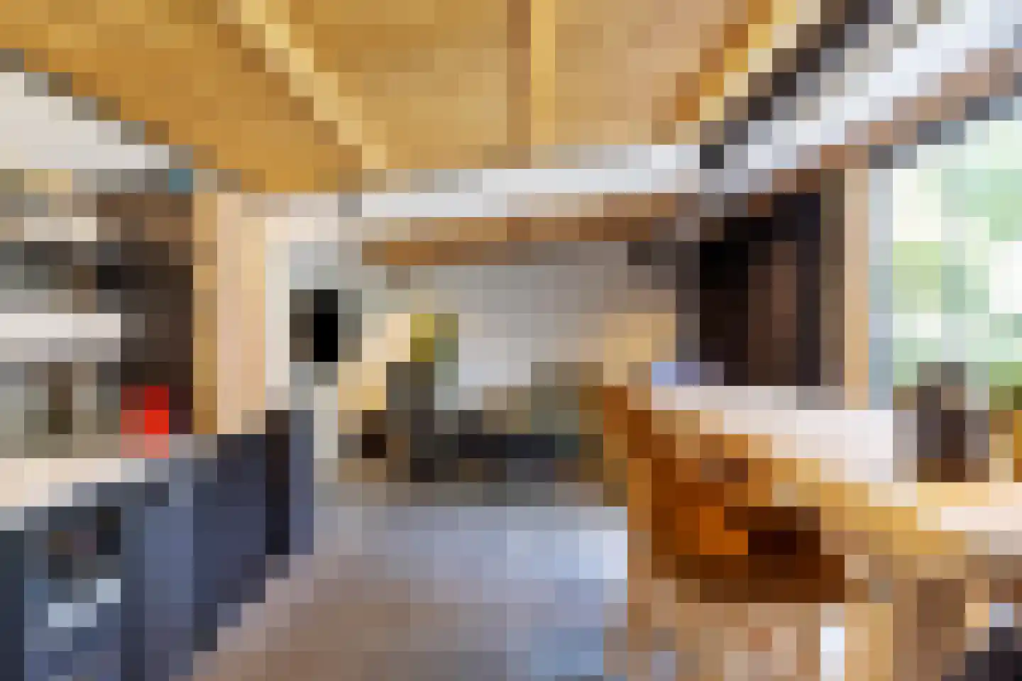 Rozenlaan 1 Nieuw-Buinen thumbnail 51