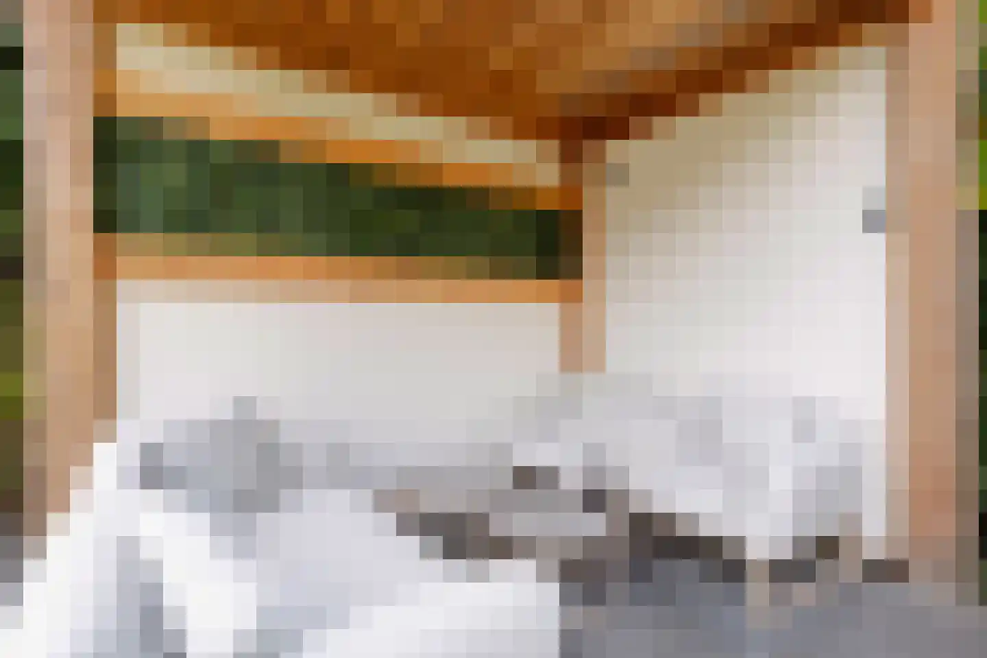 Rozenlaan 1 Nieuw-Buinen thumbnail 52