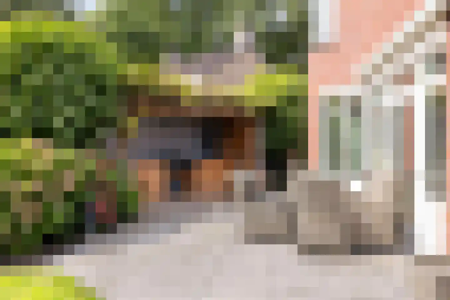 Rozenlaan 1 Nieuw-Buinen thumbnail 54