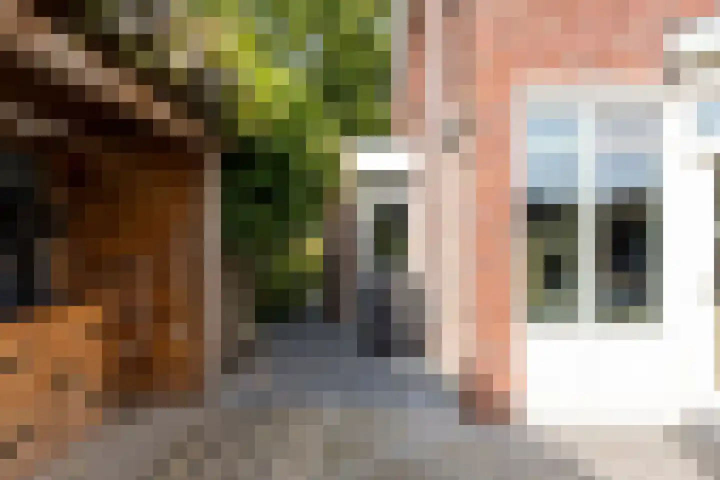 Rozenlaan 1 Nieuw-Buinen thumbnail 55