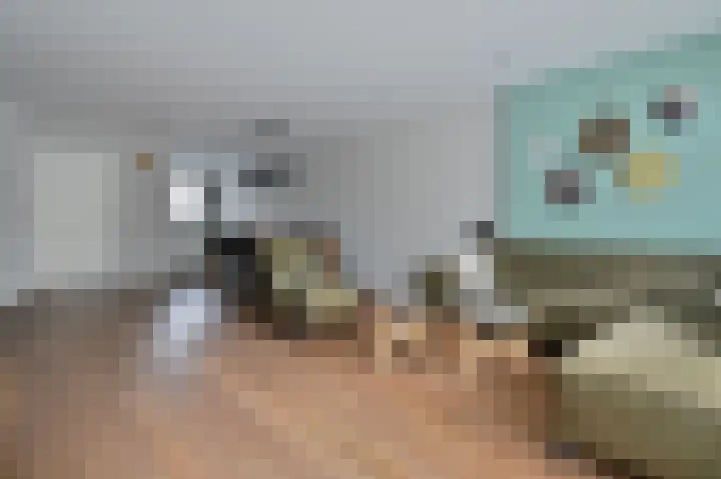 Rozenlaan 102 De Kwakel thumbnail 10