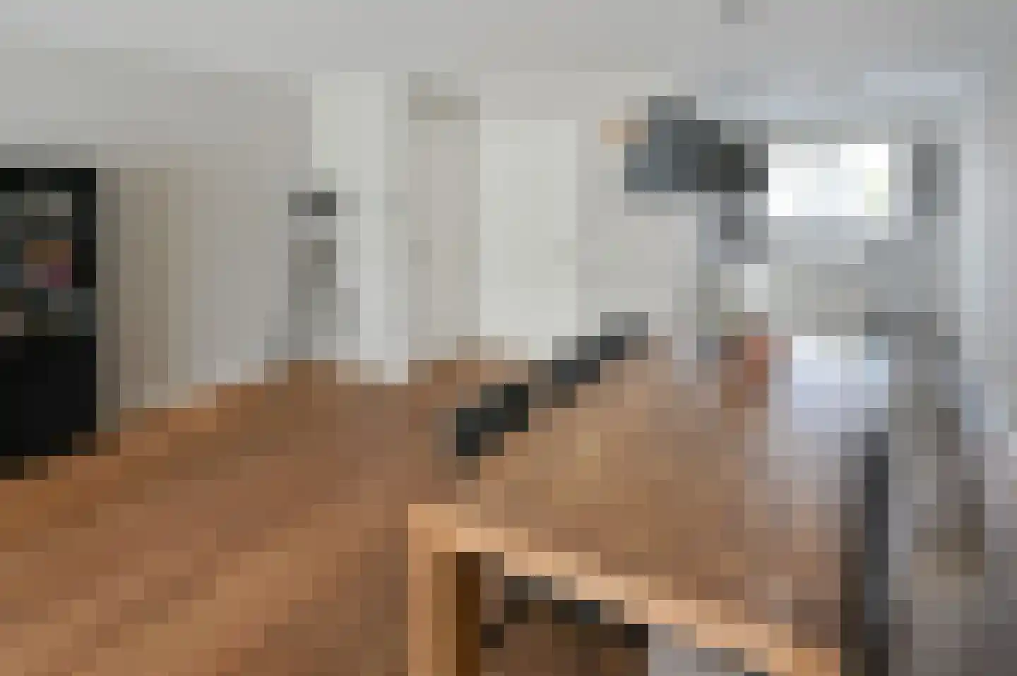 Rozenlaan 102 De Kwakel thumbnail 11