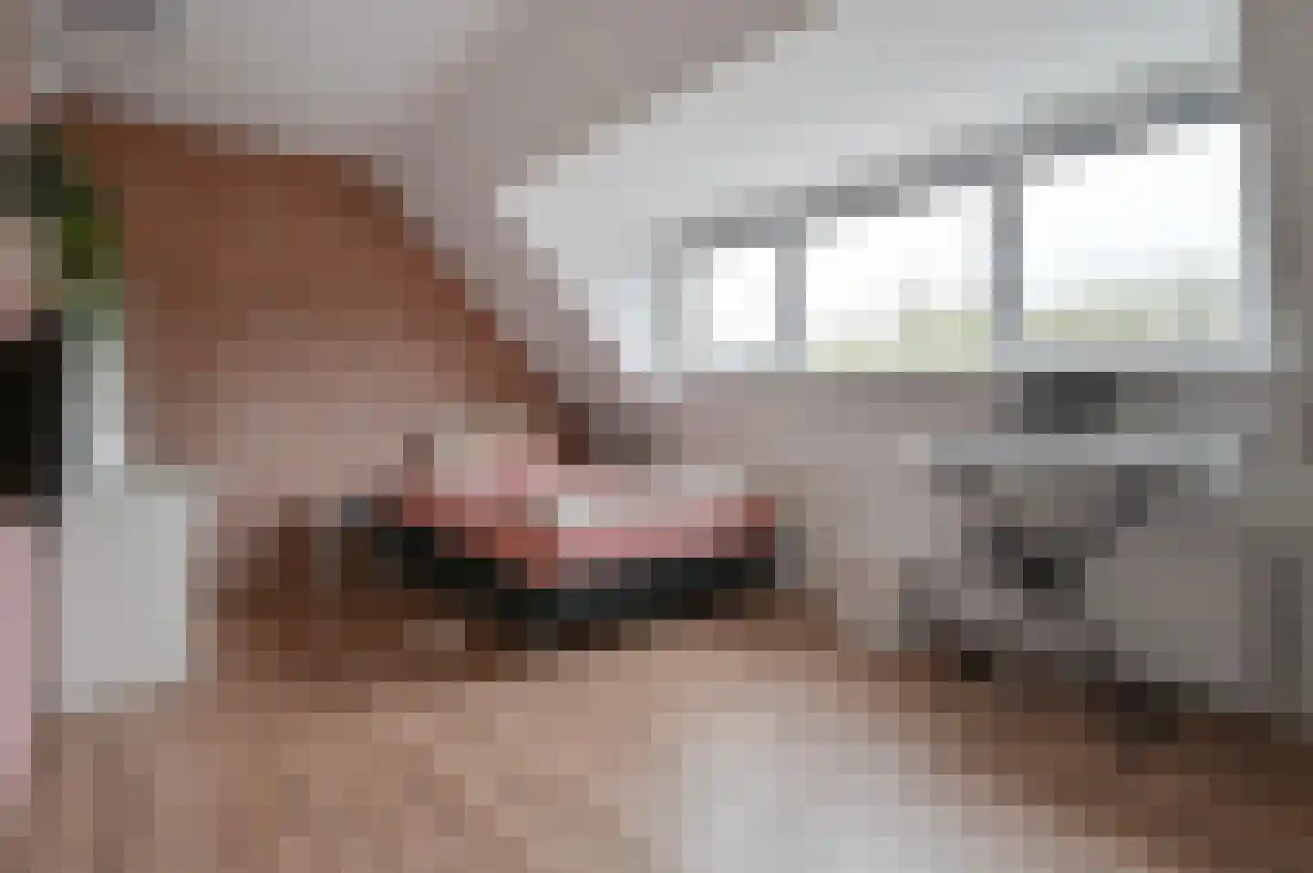 Rozenlaan 102 De Kwakel thumbnail 14