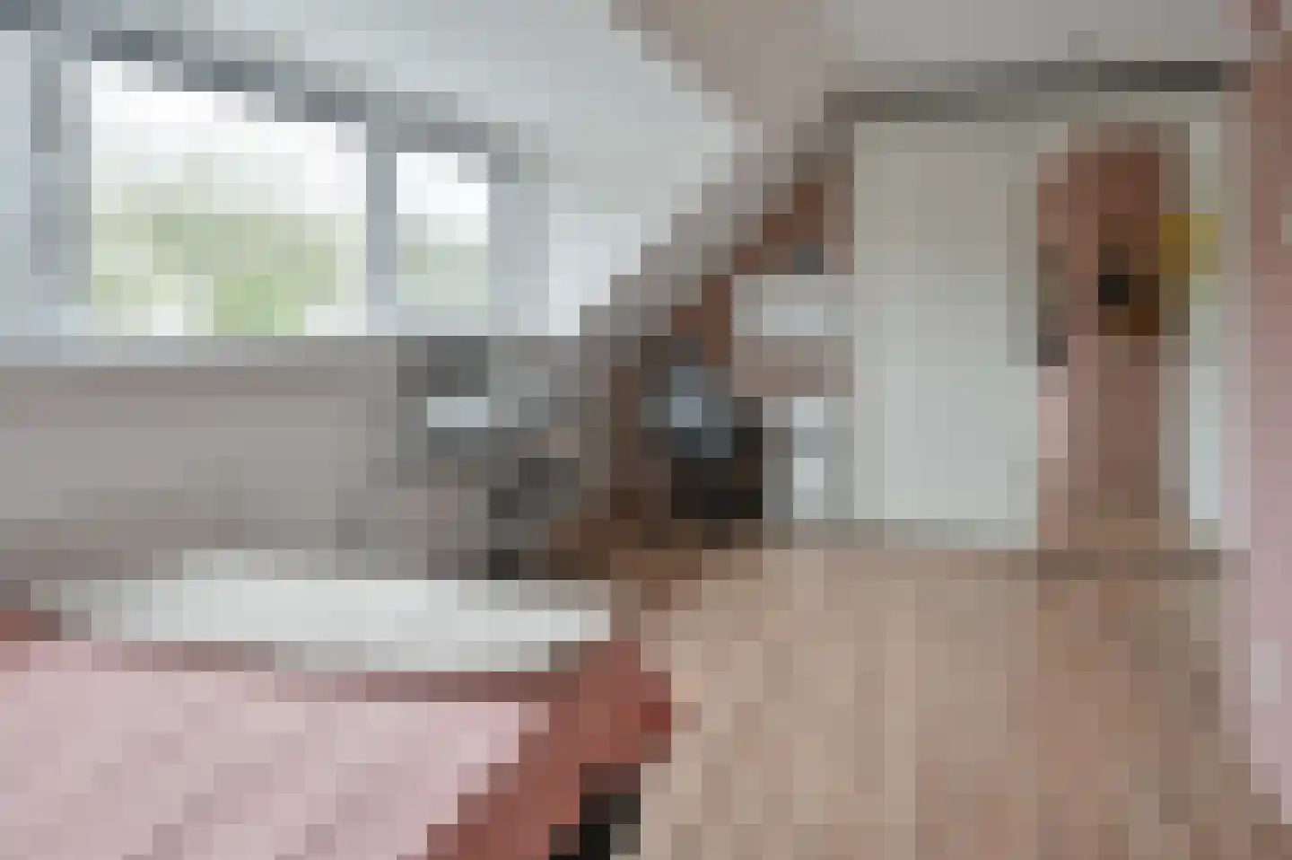 Rozenlaan 102 De Kwakel thumbnail 15