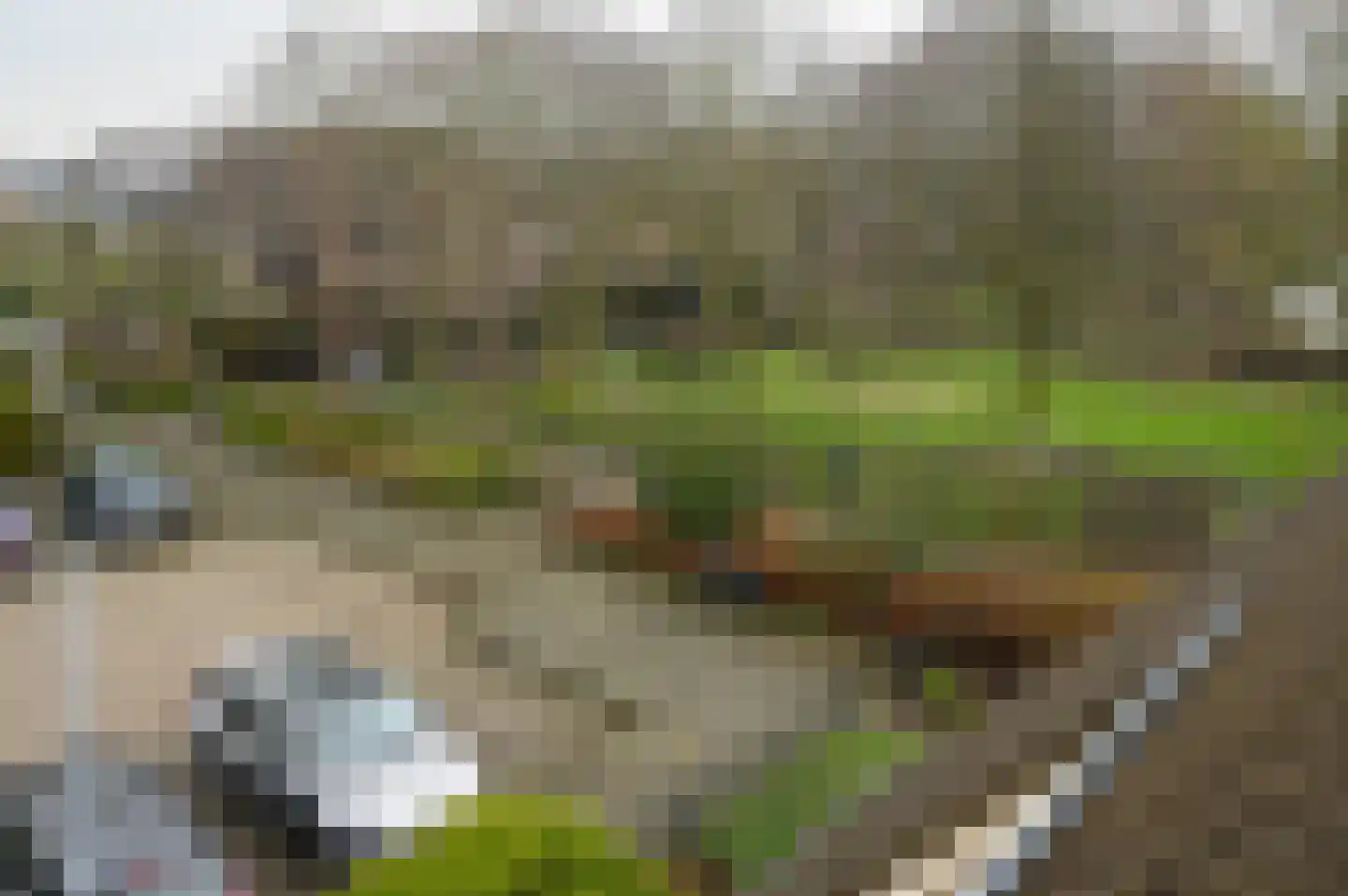 Rozenlaan 102 De Kwakel thumbnail 21