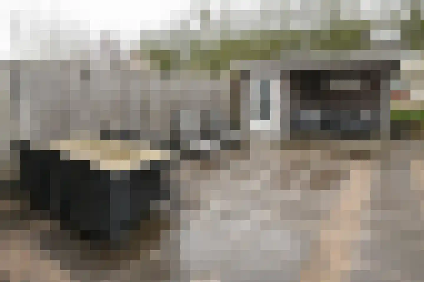 Rozenlaan 102 De Kwakel thumbnail 24