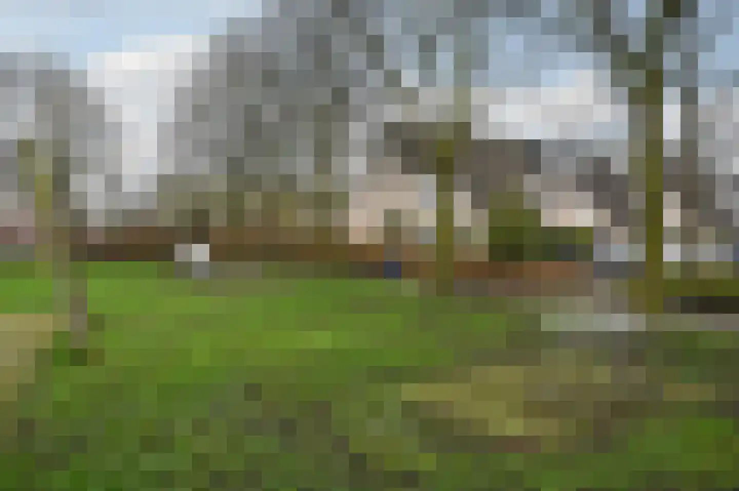 Rozenlaan 102 De Kwakel thumbnail 29