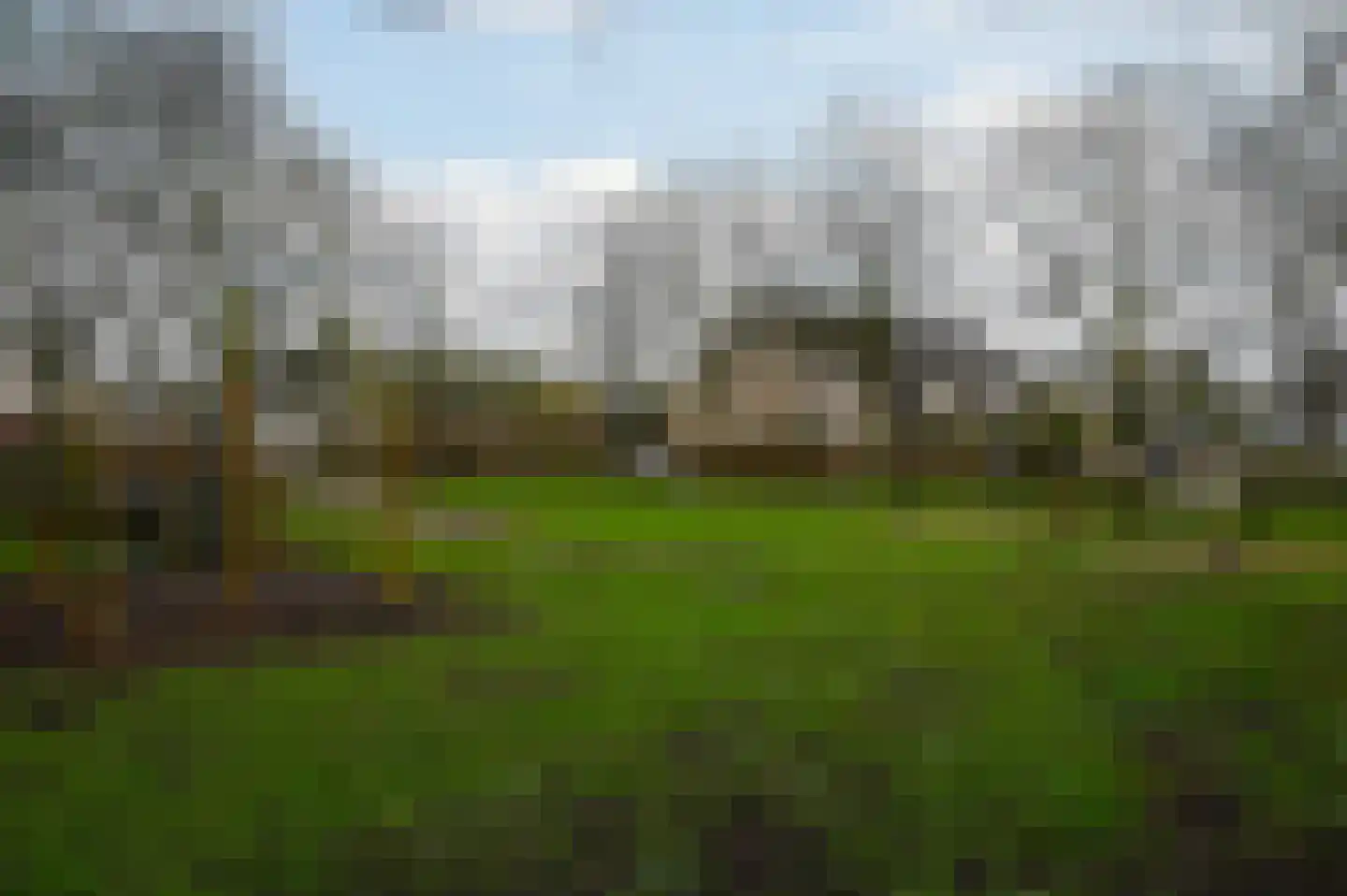 Rozenlaan 102 De Kwakel thumbnail 30