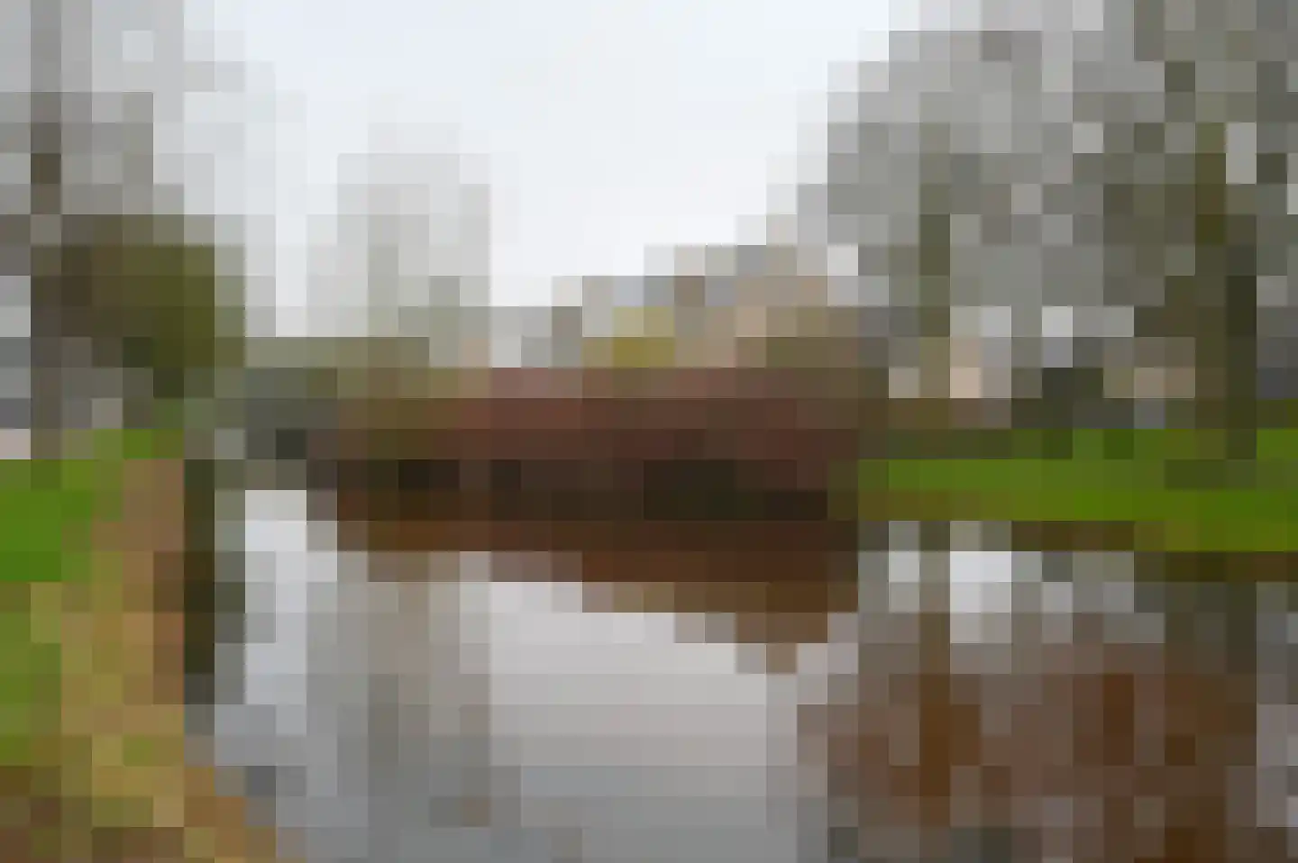 Rozenlaan 102 De Kwakel thumbnail 31