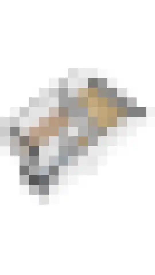 Rozenlaan 102 De Kwakel thumbnail 37