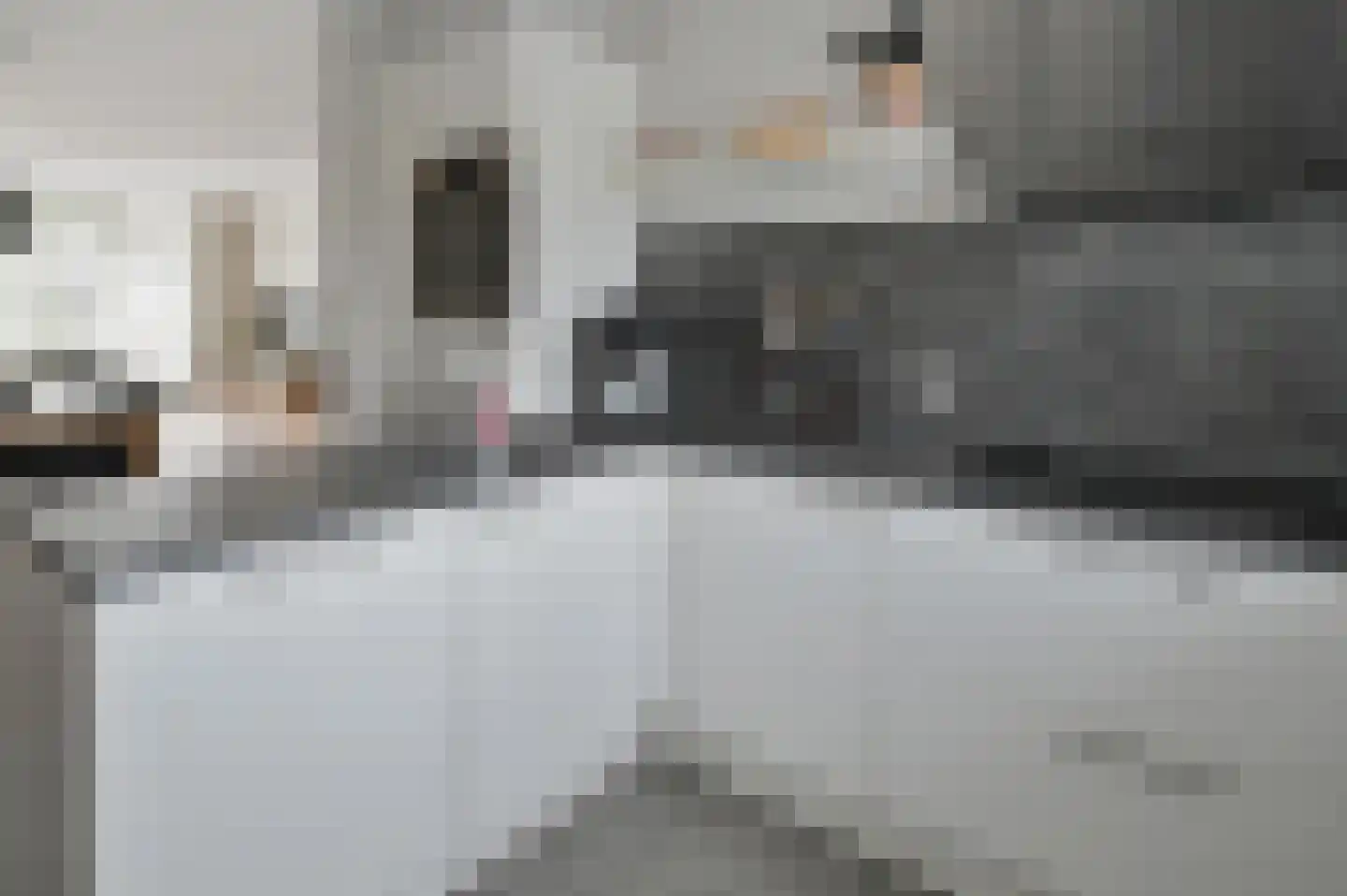 Rozenlaan 102 De Kwakel thumbnail 4