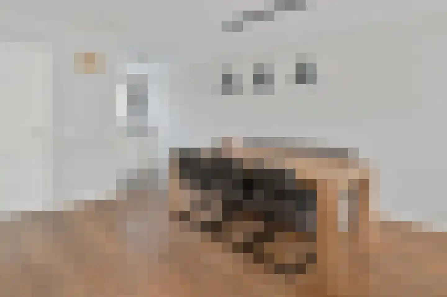 Rozenlaan 102 De Kwakel thumbnail 8