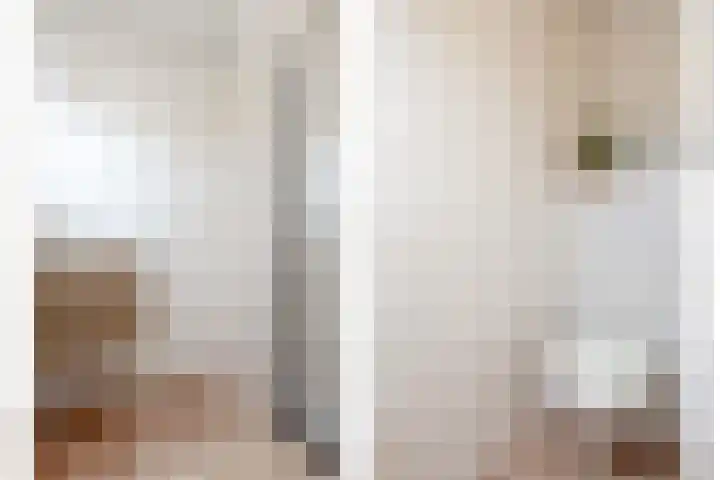 Rozenlaan 105 A2 Breda thumbnail 14