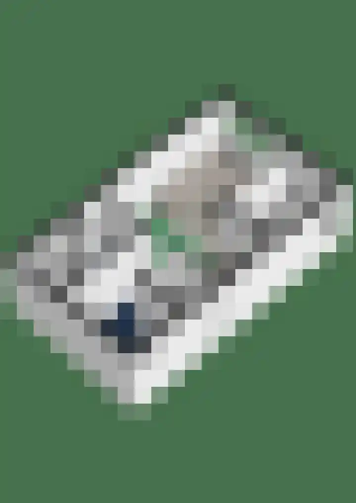 Rozenlaan 105 A2 Breda thumbnail 24