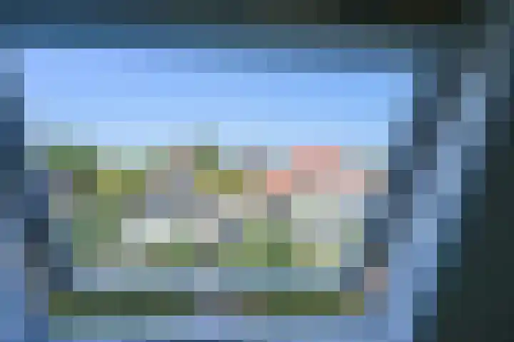 Rozenlaan 11 Vlaardingen thumbnail 42
