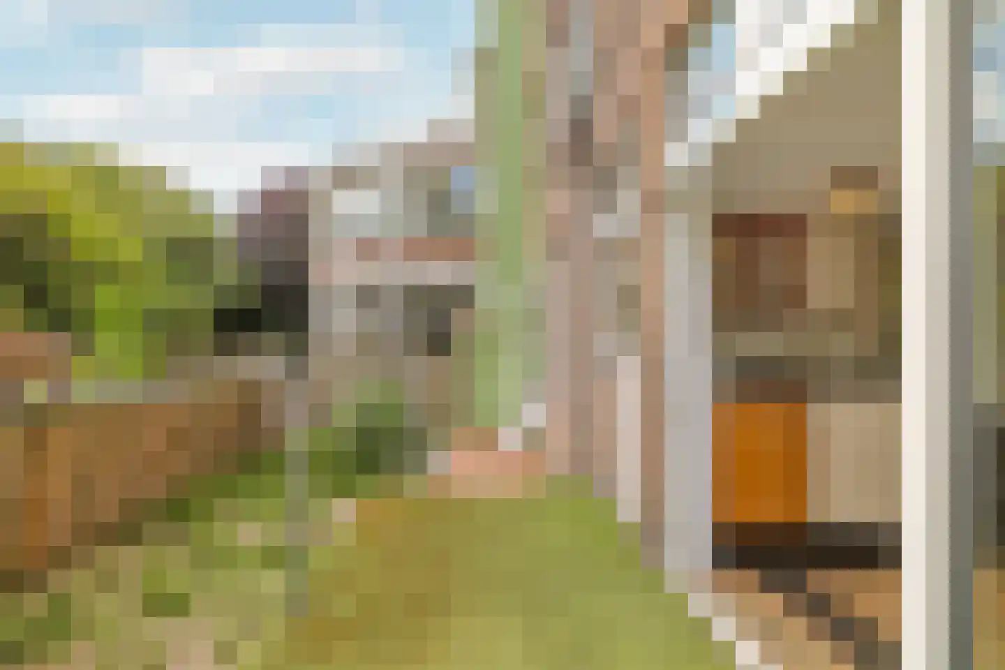 Rozenlaan 111 A Rotterdam thumbnail 23