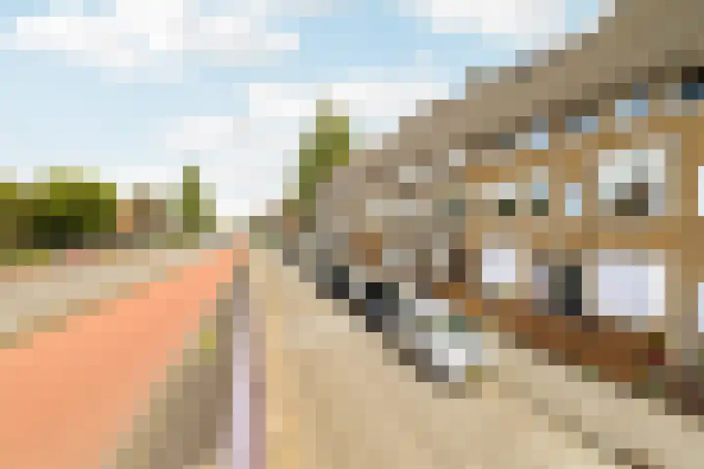 Rozenlaan 111 A Rotterdam thumbnail 28