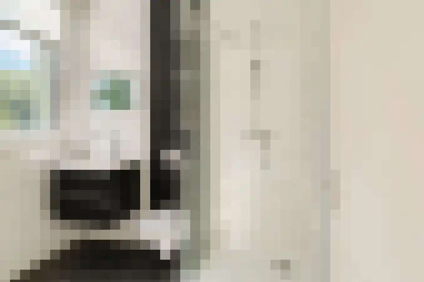 Rozenlaan 111 B Rotterdam thumbnail 14