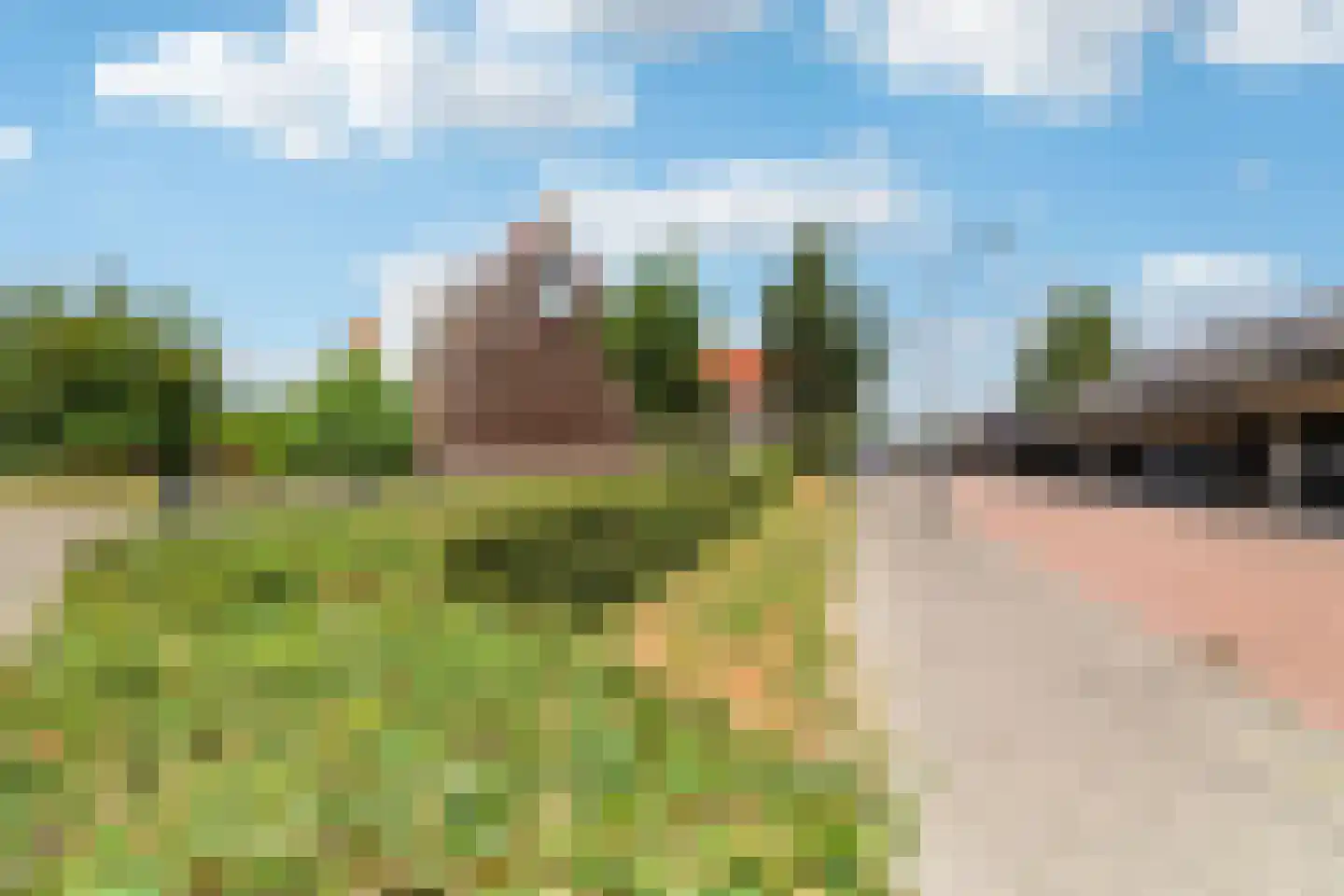 Rozenlaan 111 B Rotterdam thumbnail 19