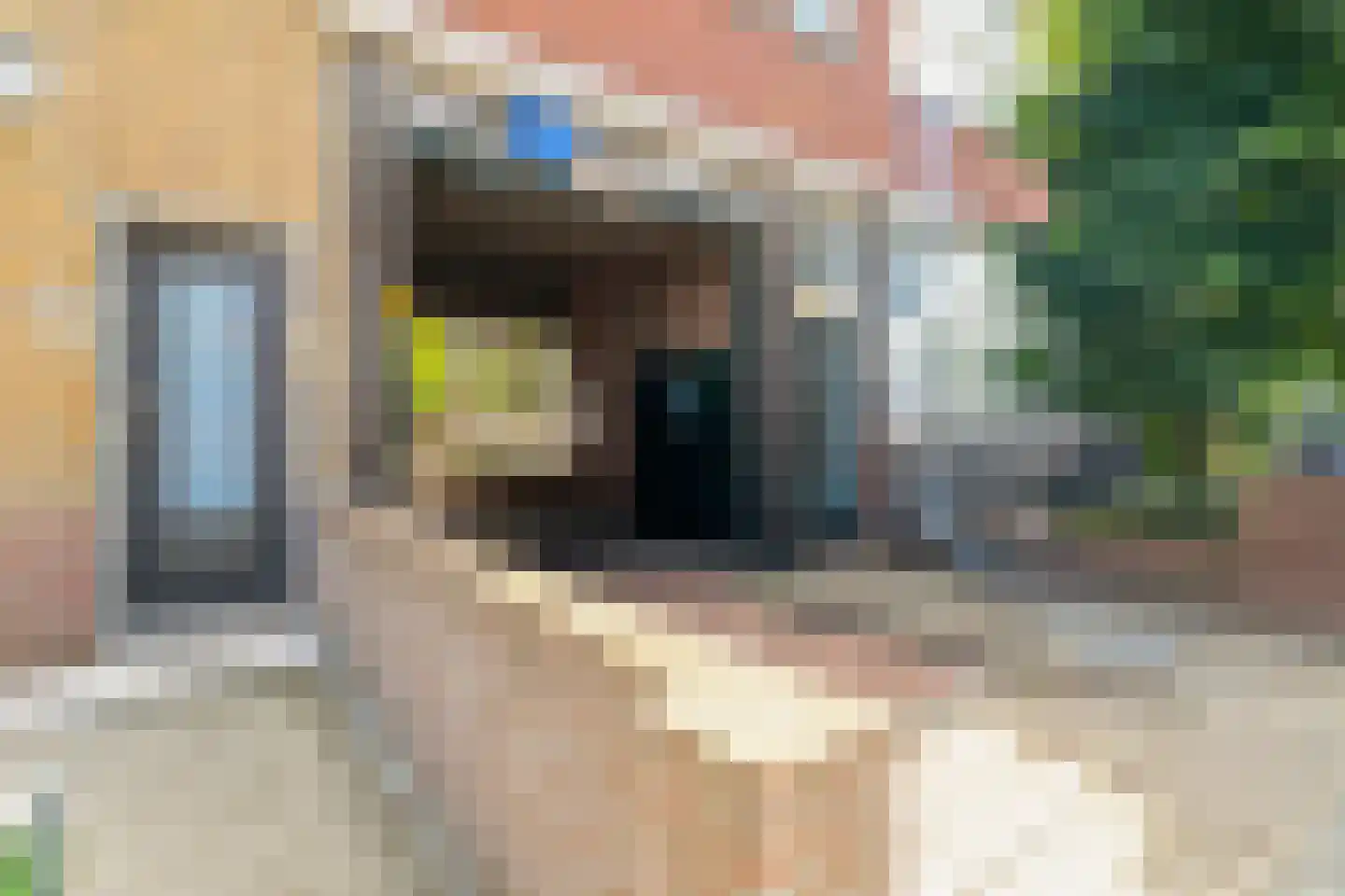 Rozenlaan 111 B Rotterdam thumbnail 22
