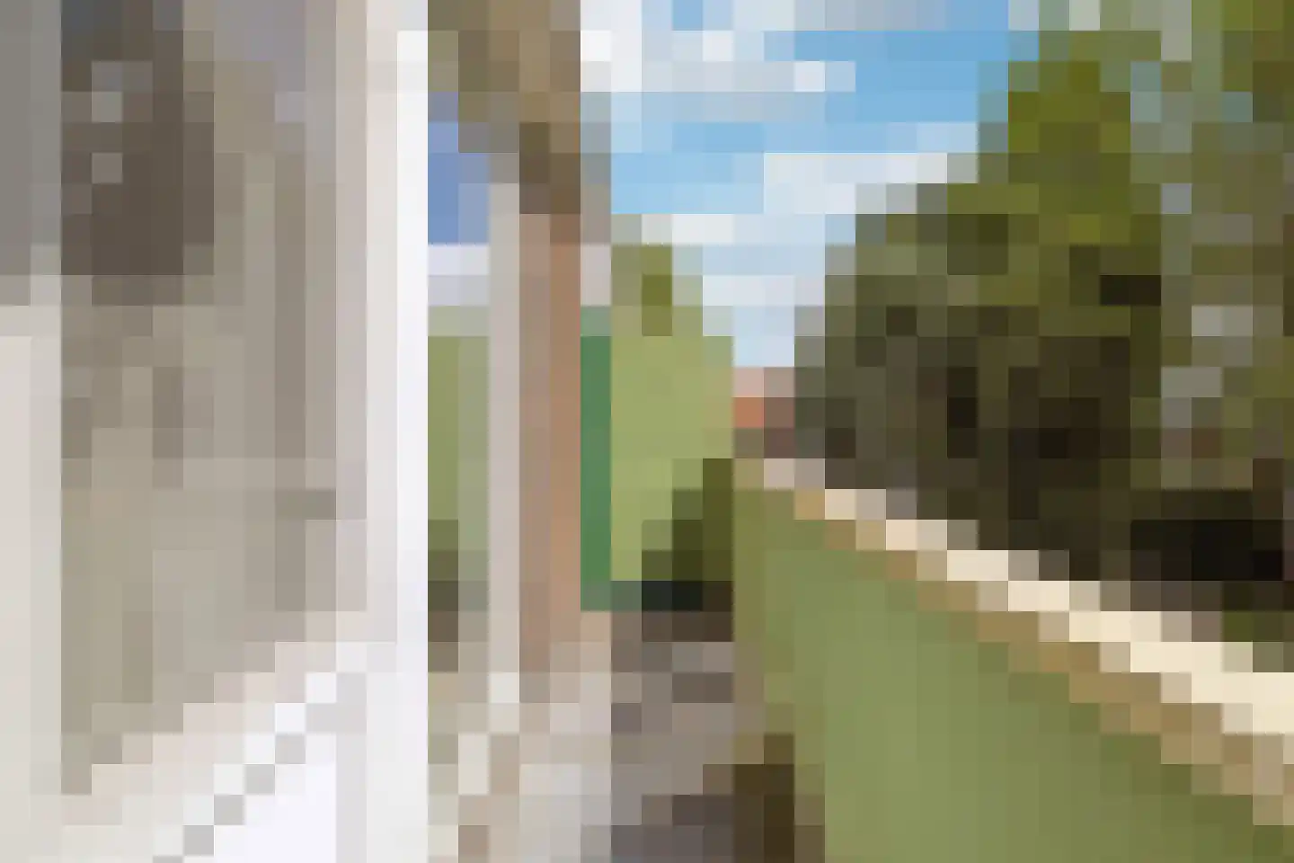 Rozenlaan 111 C Rotterdam thumbnail 16