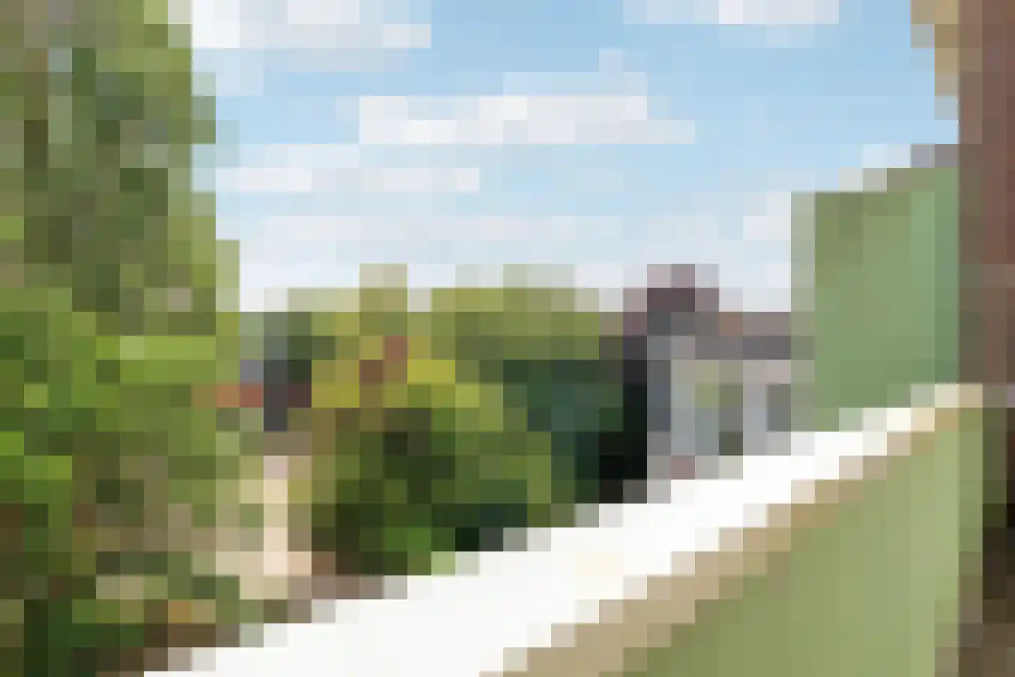Rozenlaan 111 C Rotterdam thumbnail 17