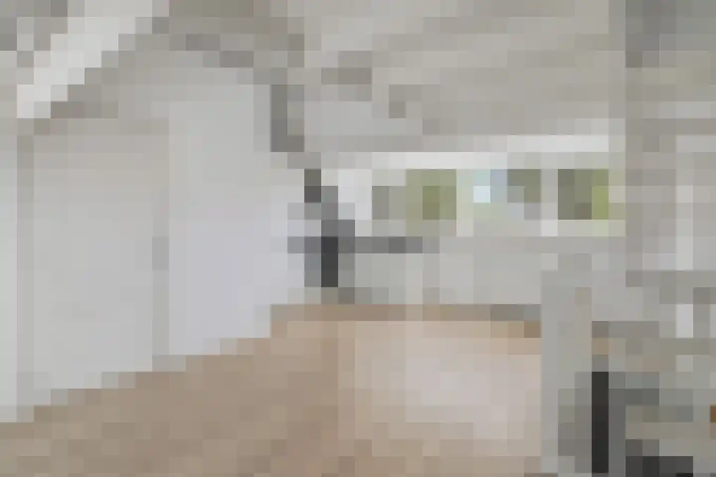 Rozenlaan 111 C Rotterdam thumbnail 19
