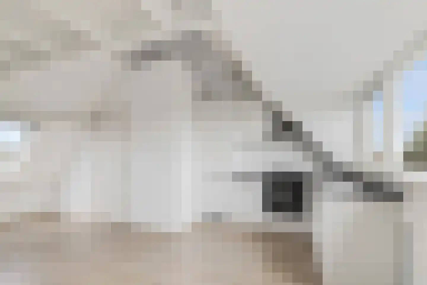 Rozenlaan 111 C Rotterdam thumbnail 21