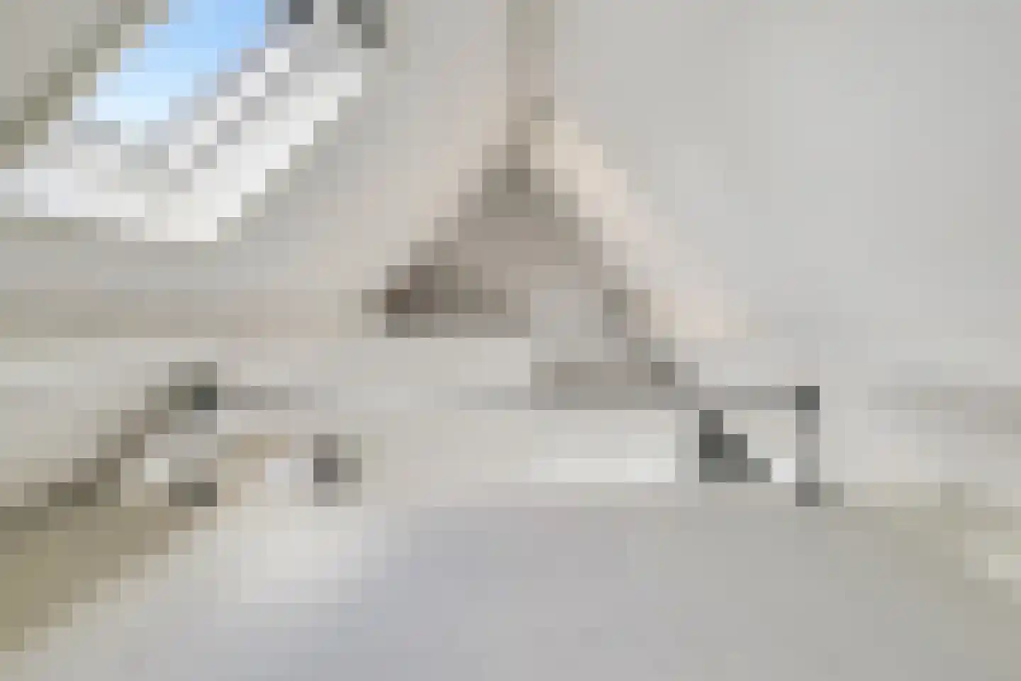 Rozenlaan 111 C Rotterdam thumbnail 30