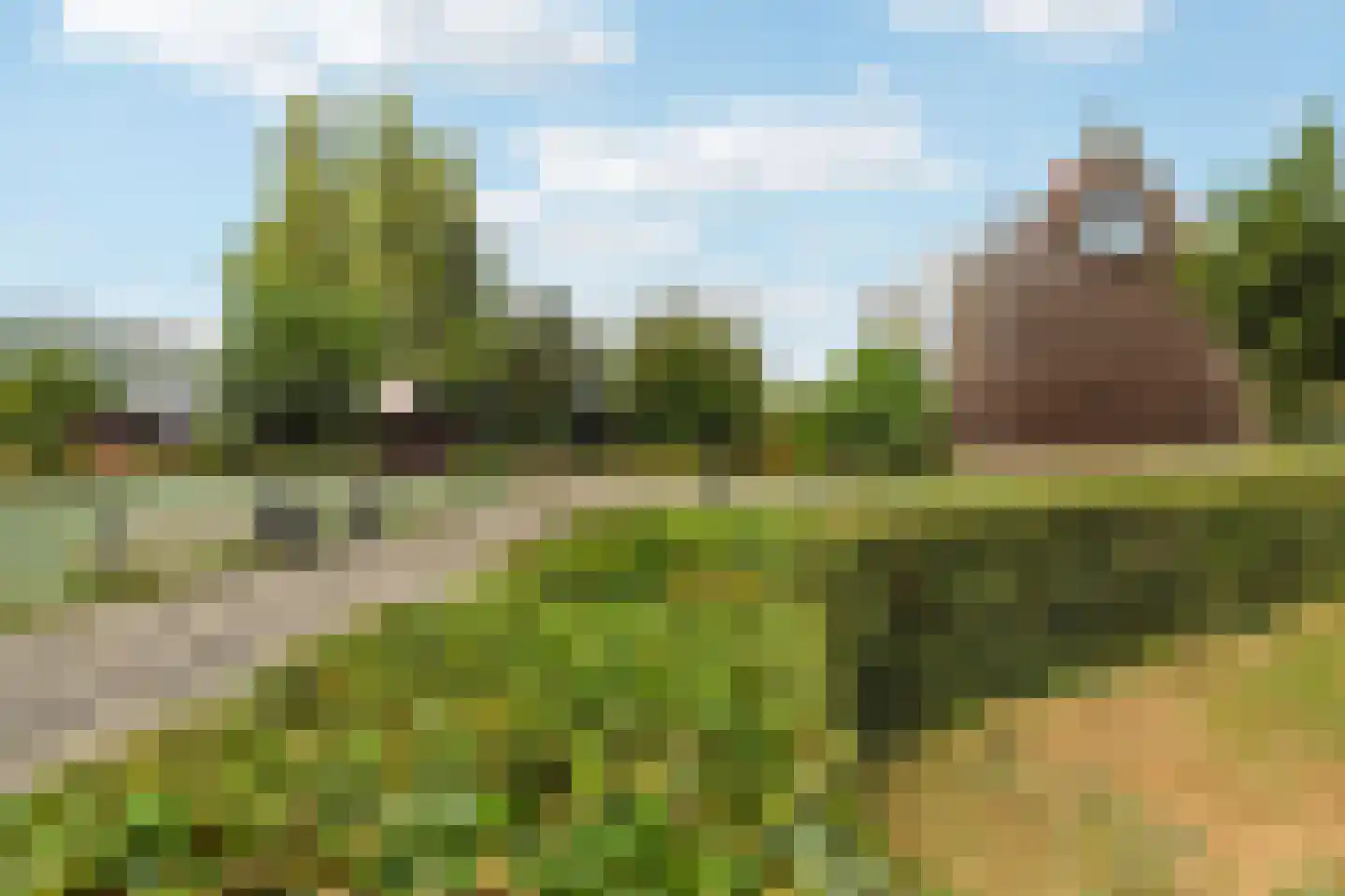 Rozenlaan 111 C Rotterdam thumbnail 31