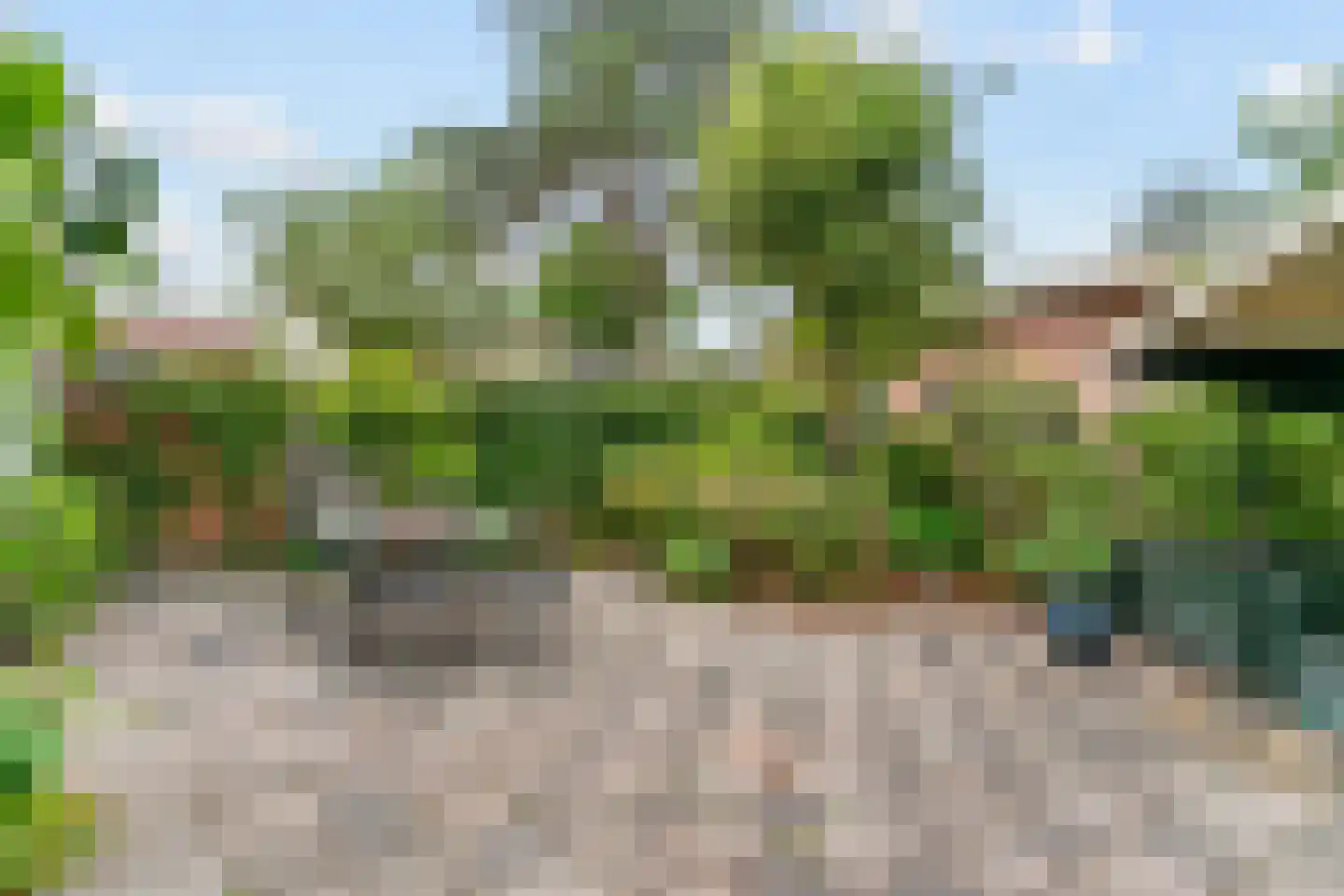 Rozenlaan 12 Sint Pancras thumbnail 21