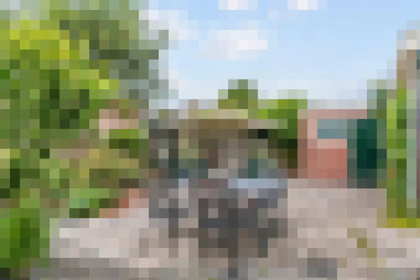 Rozenlaan 12 Sint Pancras thumbnail 23