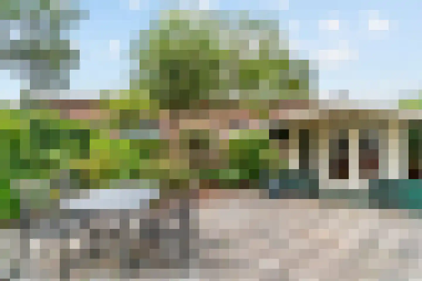 Rozenlaan 12 Sint Pancras thumbnail 24