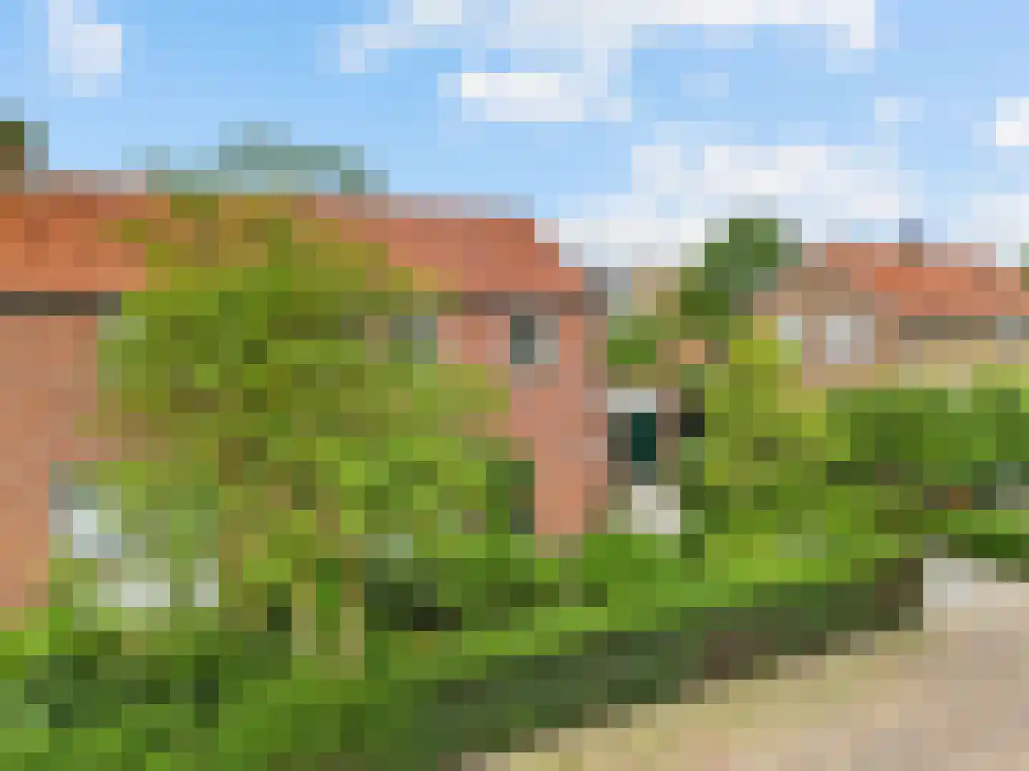 Rozenlaan 12 Sint Pancras thumbnail 35