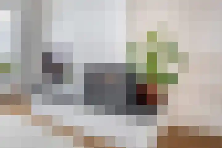 Rozenlaan 123 A Rotterdam thumbnail 12